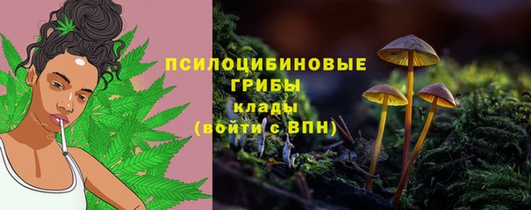 mdma Протвино